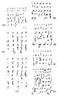 thumbs/birnbaum_hebrew_scripts_ashkenazi_[1574-1619-1670-1753-1825-1928-1928].png.jpg